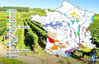 宏运行报错与结果异常：常见原因对照