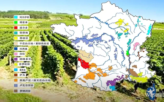 宏运行报错与结果异常：常见原因对照