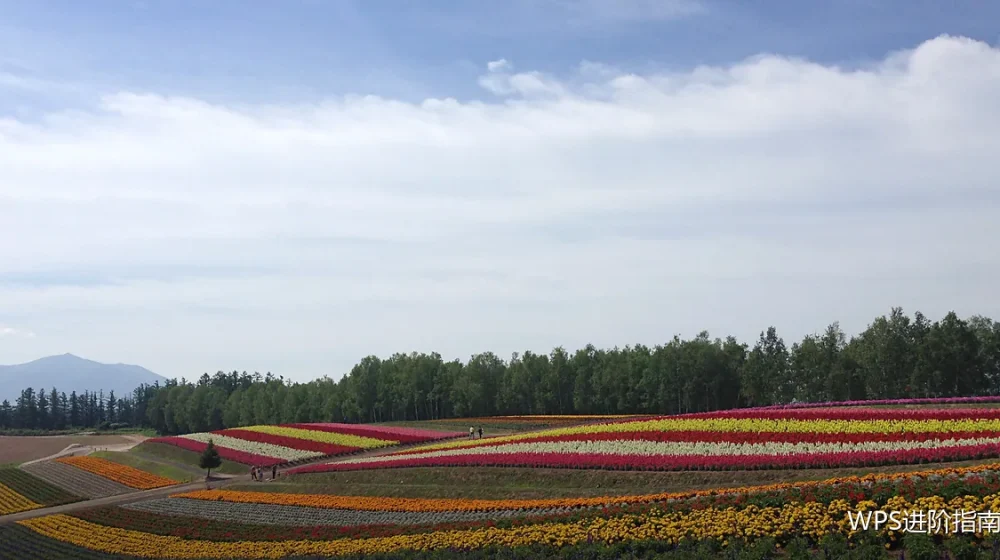 时间与精力怎么分配:把好时段留给重活