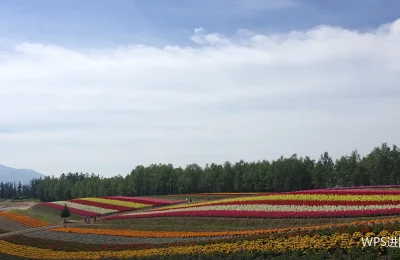 时间与精力怎么分配：把好时段留给重活